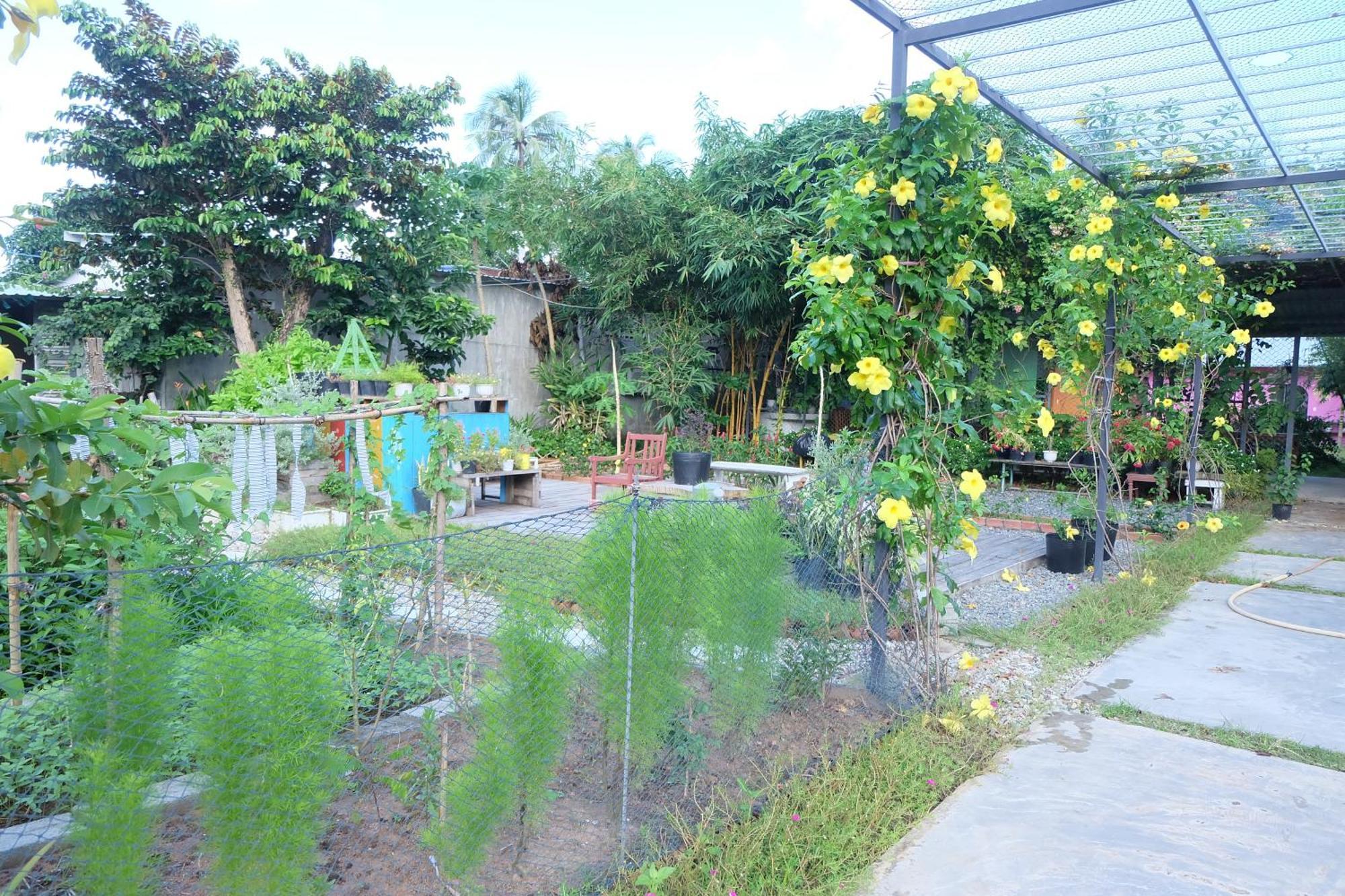 Lana Land Homestay Фукуок Екстер'єр фото